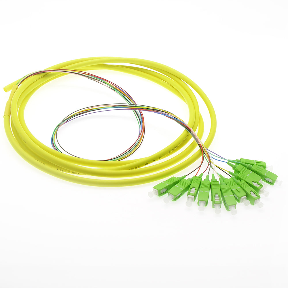 12-Fiber SC/APC Singlemode Pigtail 12-Fiber SC/APC Singlemode Pigtail